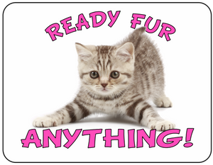 Ready Fur Anything - Feisty Kitten - T-shirt
