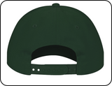 BC Rail New Logo - Flexfit & Snap Back Cap