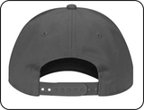 BC Rail New Logo Light Gray Logo - Flexfit & Snap Back Cap